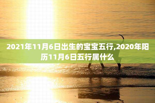 2021年11月6日出生的宝宝五行,2020年阳历11月6日五行属什么