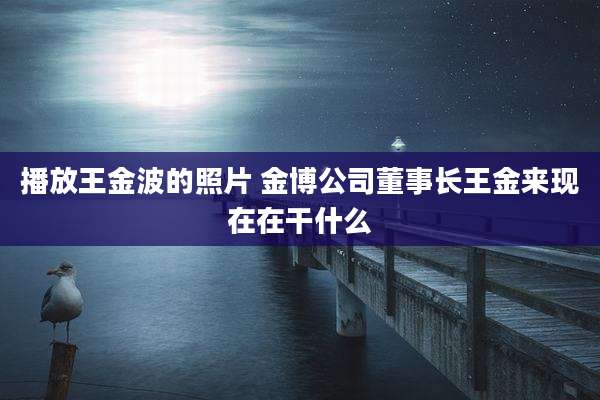 播放王金波的照片 金博公司董事长王金来现在在干什么