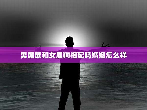男属鼠和女属狗相配吗婚姻怎么样