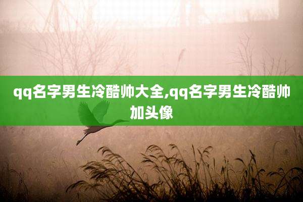 qq名字男生冷酷帅大全,qq名字男生冷酷帅加头像