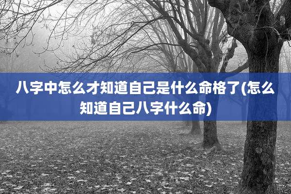 八字中怎么才知道自己是什么命格了(怎么知道自己八字什么命)