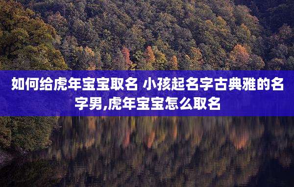如何给虎年宝宝取名 小孩起名字古典雅的名字男,虎年宝宝怎么取名