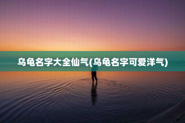 乌龟名字大全仙气(乌龟名字可爱洋气)