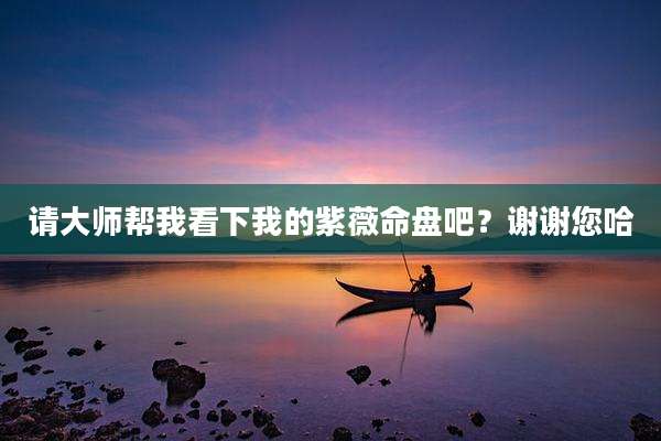 请大师帮我看下我的紫薇命盘吧？谢谢您哈