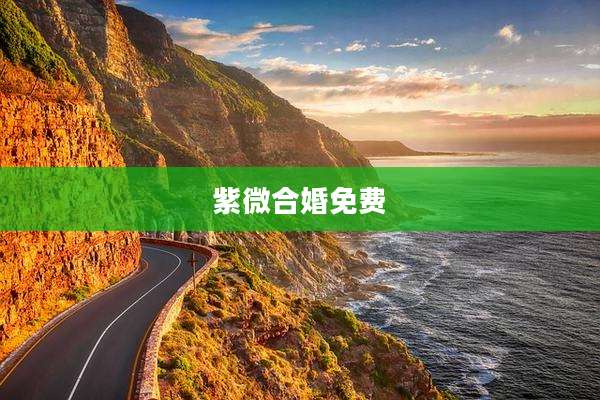 紫微合婚免费