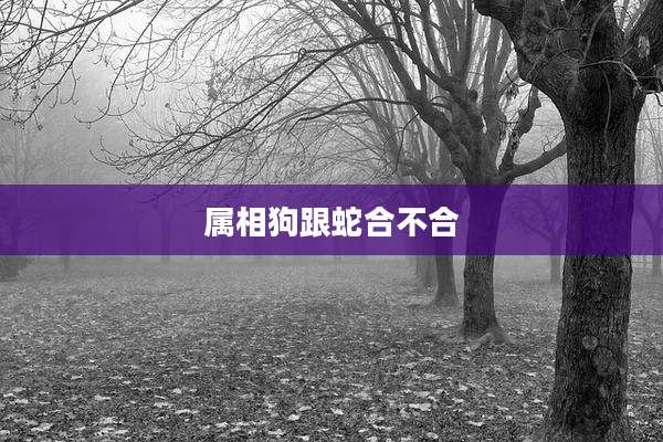 属相狗跟蛇合不合