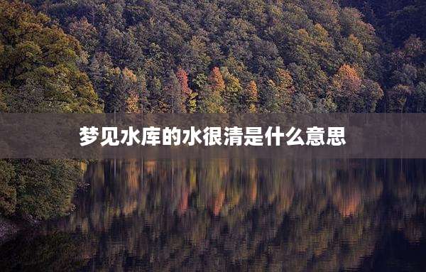 梦见水库的水很清是什么意思