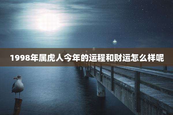 1998年属虎人今年的运程和财运怎么样呢
