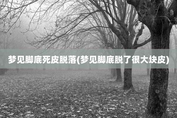 梦见脚底死皮脱落(梦见脚底脱了很大块皮)