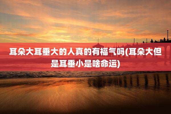 耳朵大耳垂大的人真的有福气吗(耳朵大但是耳垂小是啥命运)