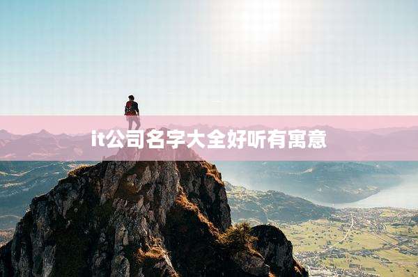 it公司名字大全好听有寓意