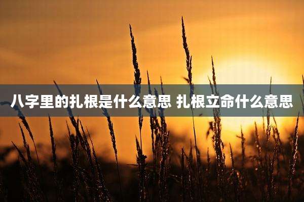 八字里的扎根是什么意思 扎根立命什么意思