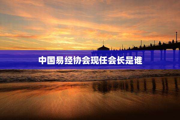 中国易经协会现任会长是谁
