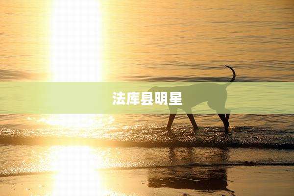 法库县明星