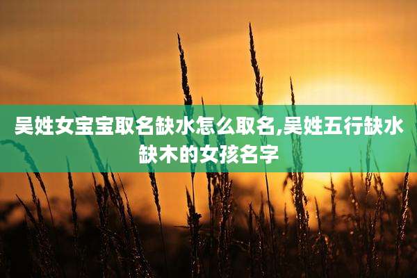 吴姓女宝宝取名缺水怎么取名,吴姓五行缺水缺木的女孩名字