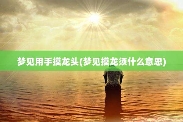 梦见用手摸龙头(梦见摸龙须什么意思)