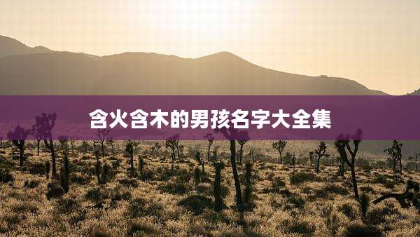 含火含木的男孩名字大全集