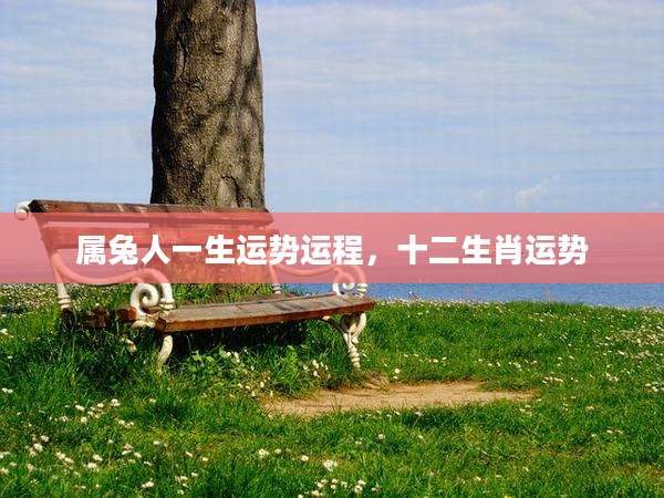属兔人一生运势运程，十二生肖运势