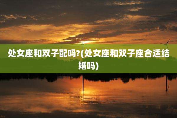 处女座和双子配吗?(处女座和双子座合适结婚吗)