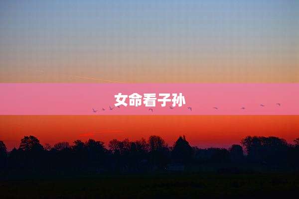 女命看子孙