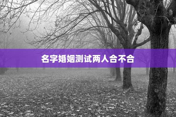 名字婚姻测试两人合不合