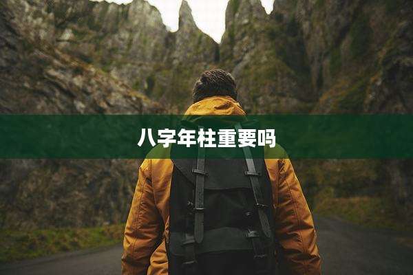 八字年柱重要吗
