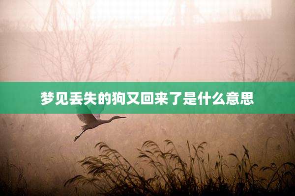 梦见丢失的狗又回来了是什么意思