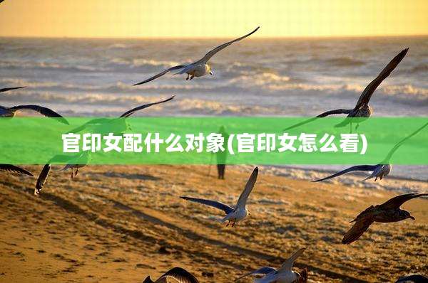 官印女配什么对象(官印女怎么看)