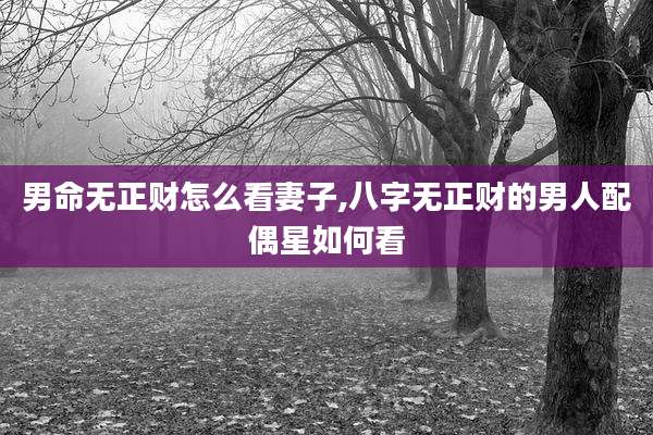 男命无正财怎么看妻子,八字无正财的男人配偶星如何看