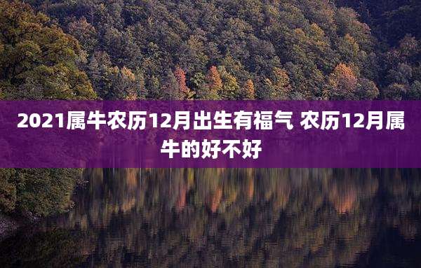 2021属牛农历12月出生有福气 农历12月属牛的好不好