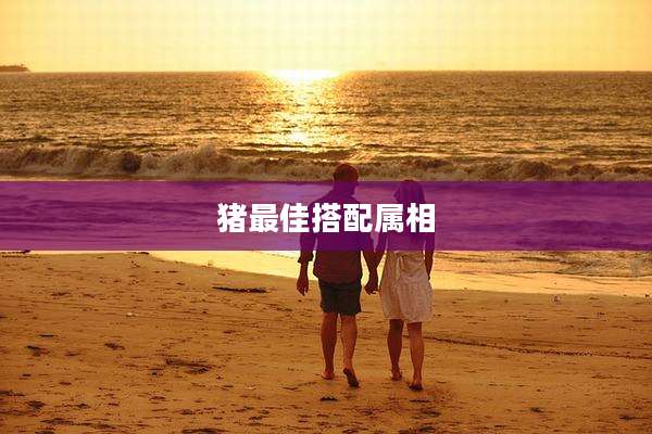 猪最佳搭配属相