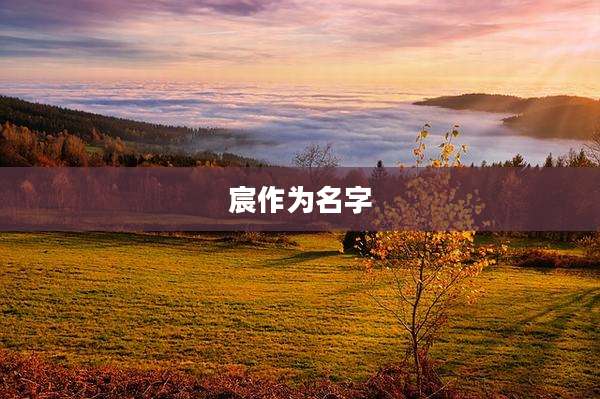 宸作为名字