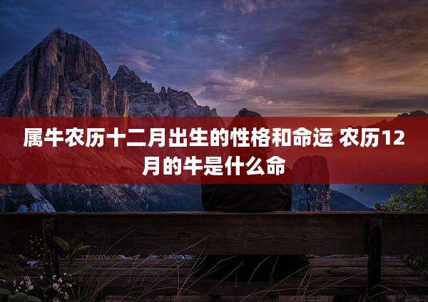 属牛农历十二月出生的性格和命运 农历12月的牛是什么命