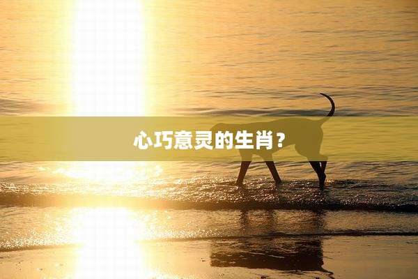 心巧意灵的生肖？