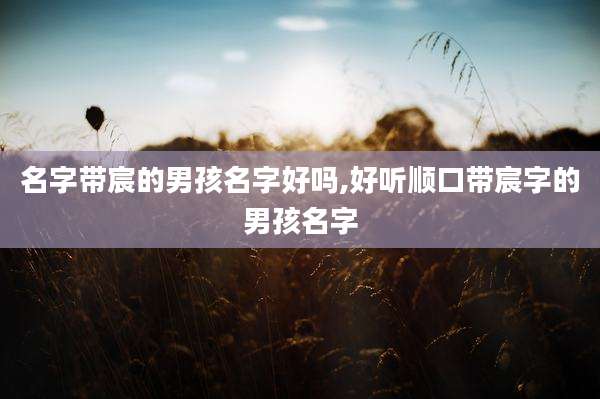名字带宸的男孩名字好吗,好听顺口带宸字的男孩名字