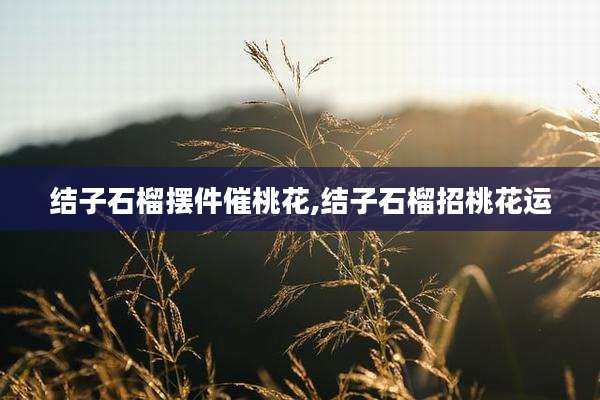 结子石榴摆件催桃花,结子石榴招桃花运