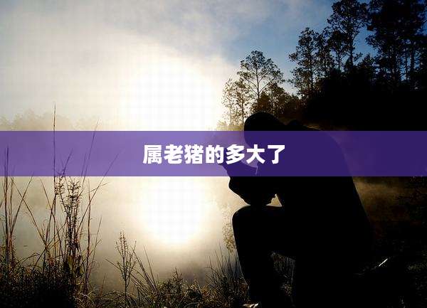 属老猪的多大了
