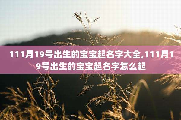 111月19号出生的宝宝起名字大全,111月19号出生的宝宝起名字怎么起
