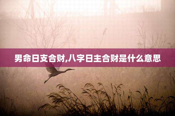 男命日支合财,八字日主合财是什么意思