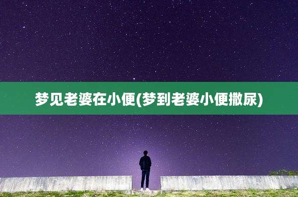 梦见老婆在小便(梦到老婆小便撒尿)