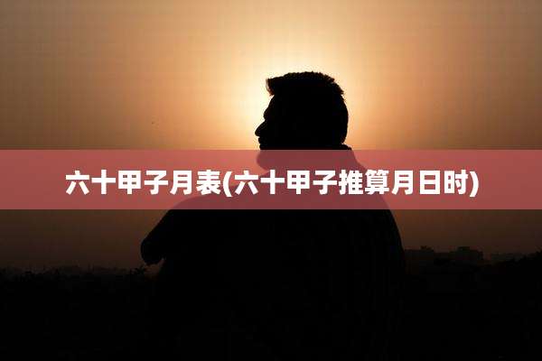 六十甲子月表(六十甲子推算月日时)