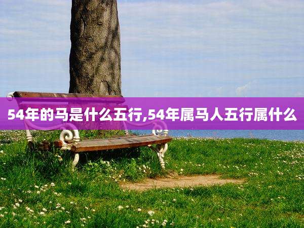 54年的马是什么五行,54年属马人五行属什么