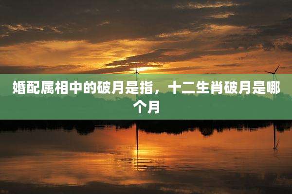 婚配属相中的破月是指，十二生肖破月是哪个月