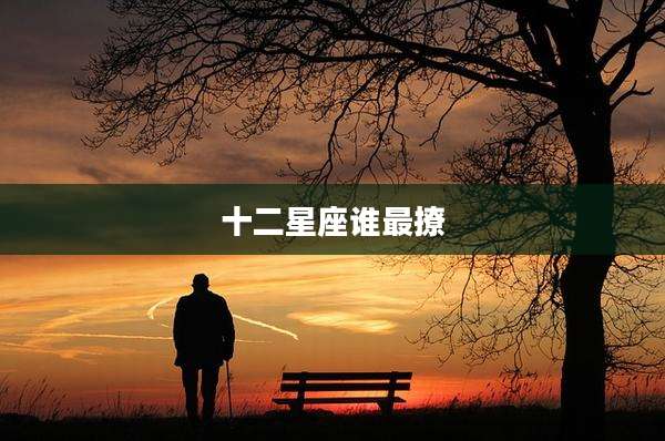 十二星座谁最撩