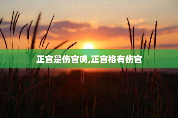 正官是伤官吗,正官格有伤官