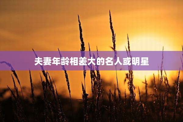夫妻年龄相差大的名人或明星