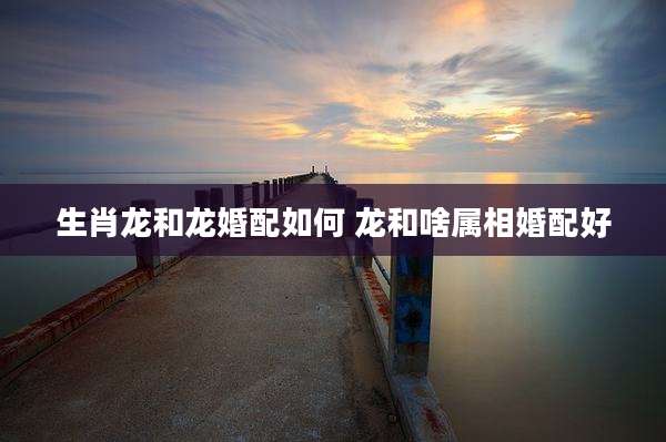 生肖龙和龙婚配如何 龙和啥属相婚配好