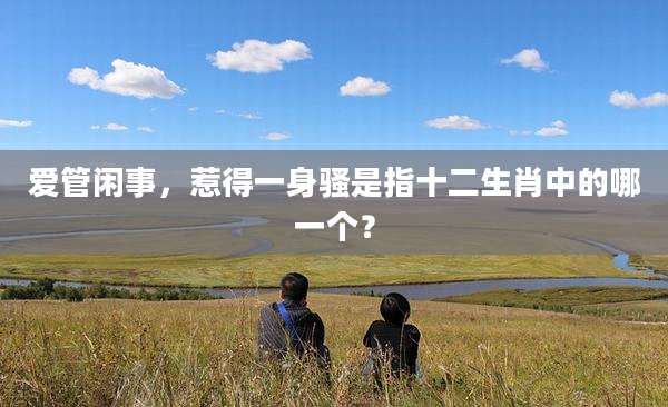 爱管闲事，惹得一身骚是指十二生肖中的哪一个？