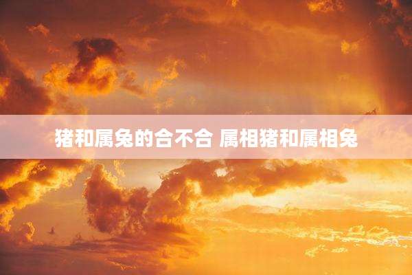 猪和属兔的合不合 属相猪和属相兔