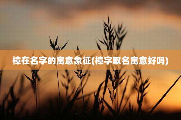 樟在名字的寓意象征(樟字取名寓意好吗)